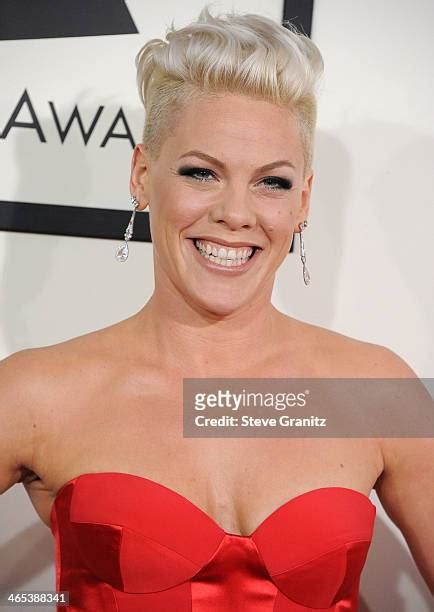 Pink Alecia Moore January 26 Photos And Premium High Res Pictures