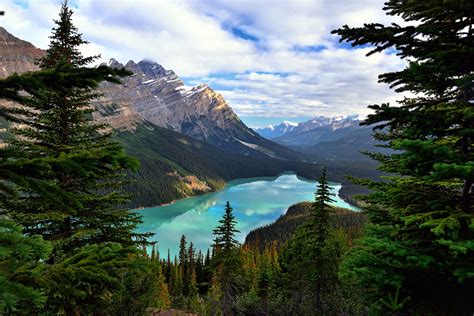 Foto Kanada Peyto Lake And Mount Patterson Natur Gebirge Fichten See