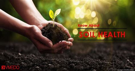 Soil Health Card Day 2020 Vmedo Blog