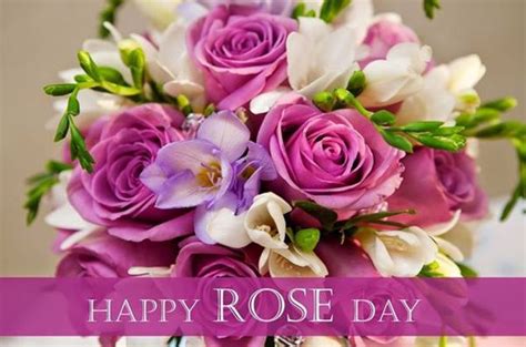 50+ BEST Rose Day Images for Boyfriend/Girlfriend ... Rose day is celebrated by offering roses to one another.