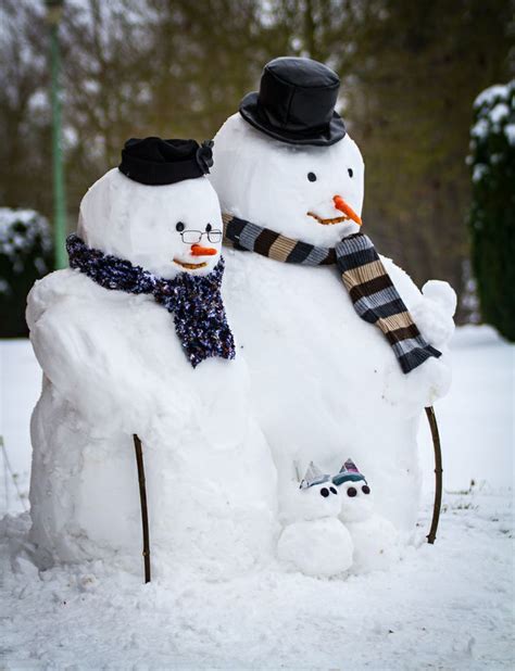 Search, discover and share your favorite lustig gifs. 1560 best images about Snow & winter scenes on Pinterest