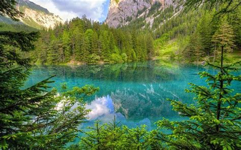 Download Wallpapers Mountain Lake Forest Beautiful Nature Mountains