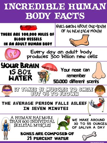 Health And Science Poster Incredible Human Body Facts Teaching Resources