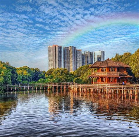 Taman Wisata Alam Mangrove - Hidden Gem Mempesona di Jakarta Utara