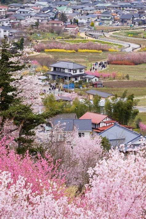 Cherry Blossom Season In Japan Japan Travel Spot Beautiful Places