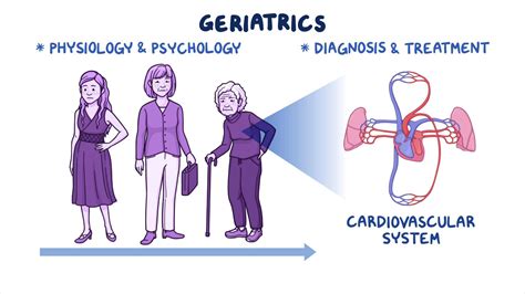 Geriatric Considerations Cardiac Nursing Osmosis Video Library