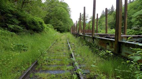 You Ve Never Experienced Anything Like This Epic Abandoned Railroad
