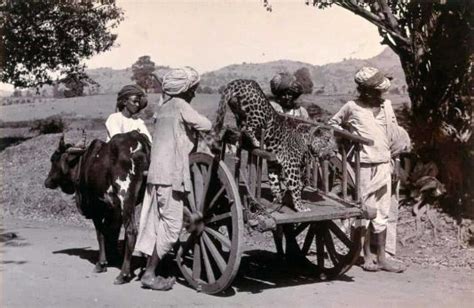 34 Rare And Vintage Pics Of Our India From The Late 18th Century Wirally