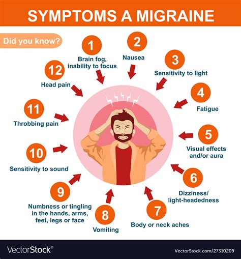 Symptoms Migraine Infographics How To Royalty Free Vector