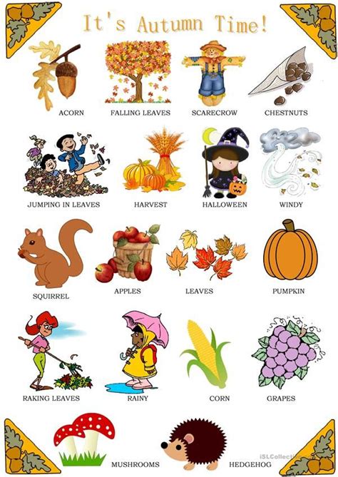 Fall Vocabulary Words Kindergarten