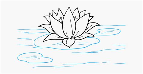I love the way you draw, how delicate and looks so effortless but the result just. Clip Art Lotus Flower Sketch - Water Lily Drawing Easy ...