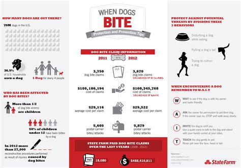 Dog Bite Claims Are More Common Than You Might Think Check Out These