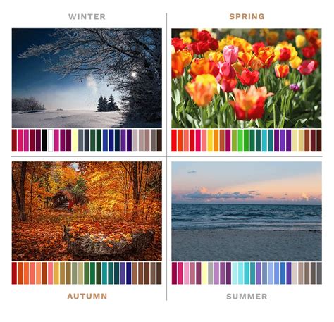 Color Analysis Find Your Color Season A Comprehensive Guide Color