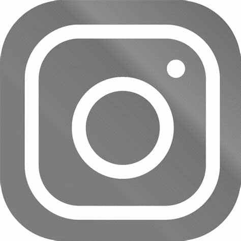 Download Hd Logo Instagram Logo Instagram Hitam Putih Png