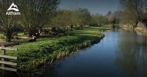 Best Trails In Cotswolds Area Of Outstanding Natural Beauty Wiltshire