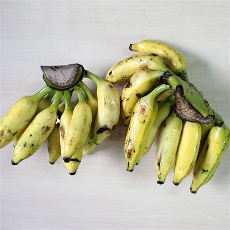Organic Elaichi Banana Freshindiaorganics