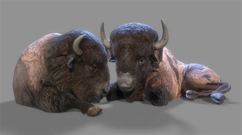 American Steppe Bison Low Poly 3d Model 3d Model Turbosquid 1840713
