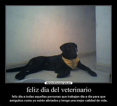 Esta rama es fundamental en todos los procesos de conservación de las áreas naturales protegidas en méxico. Que día se celebra su día los veterinarios - imágenes y ...