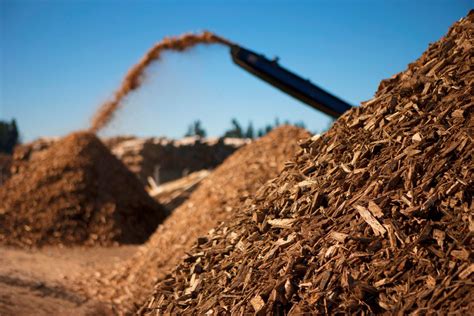 Biomassa Pengertian Manfaat Contoh Dan Fakta Yang Perlu Anda Tahu Riset