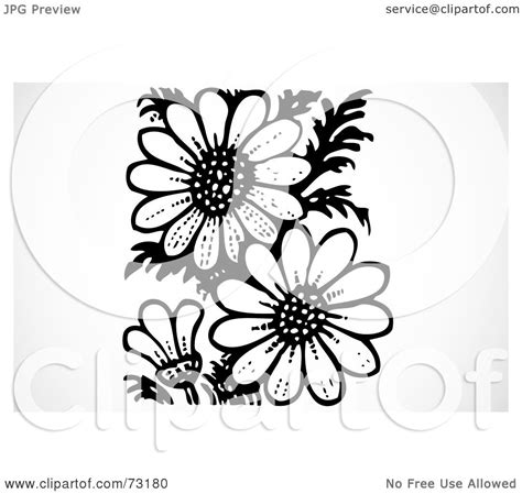 Royalty-Free (RF) Clipart Illustration of a Black And White Daisy
