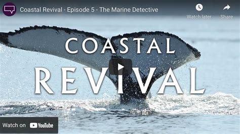 Introducing The Marine Detective The Scuba News