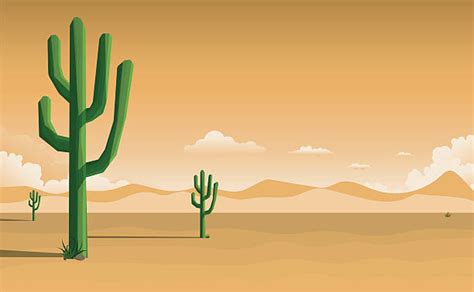 Cactus Illustrations Royalty Free Vector Graphics And Clip Art Istock