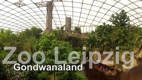 Leipzig zoological garden, or leipzig zoo is a zoo in leipzig city, germany. Zoo Leipzig Gondwanaland - YouTube