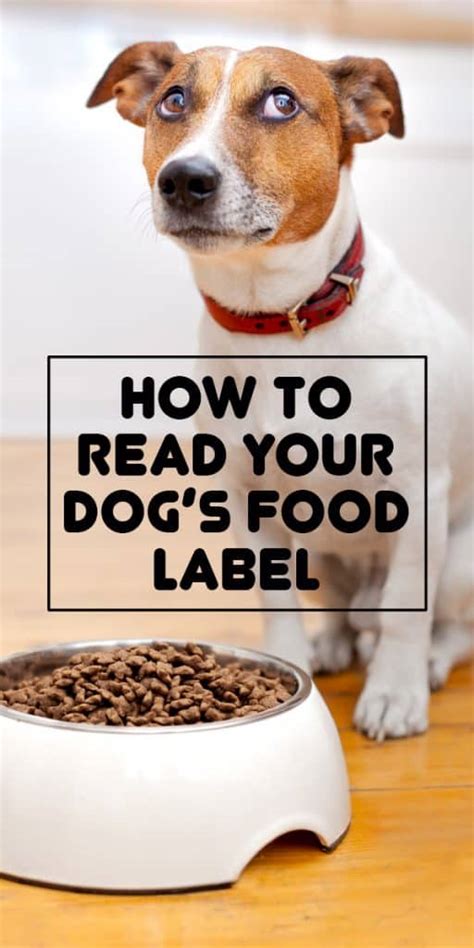 Find out what's behind the dog food label from a to z. How To Read a Dog Food Label - The Dogington Post