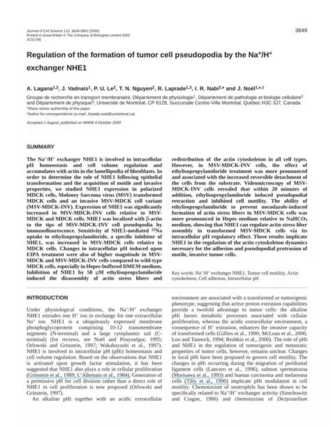 Pdf Regulation Of The Formation Of Tumor Cell Pseudopodia By The Na