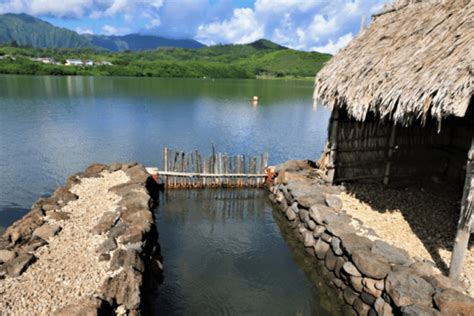 Reviving An Ancient Way Of Aquaculture At Hawaiis Heʻeia Fishpond