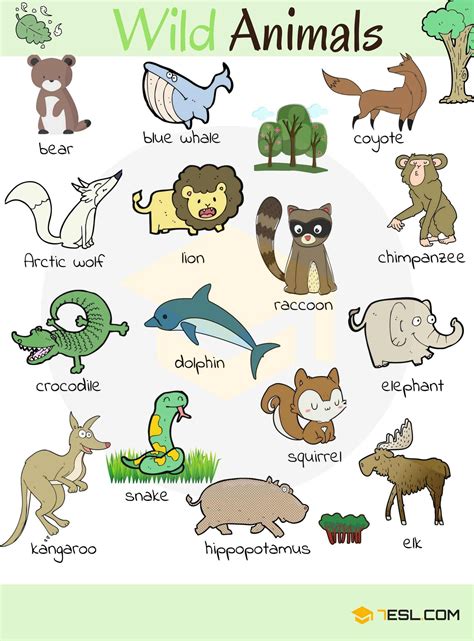 Wild Animal Vocabulary In English Eslbuzz Learning English English