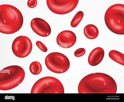 Red Blood Cells Isolated Stock Photo Alamy
