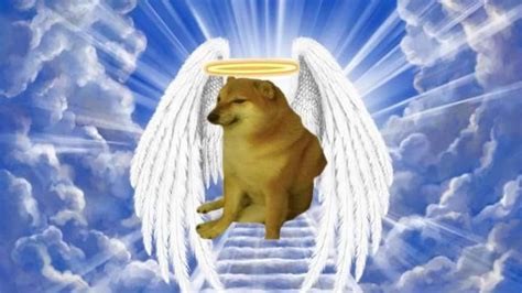 A Tribute To Cheems Remembering The Iconic Meme Dog World Today News