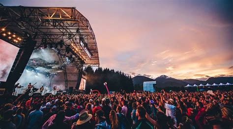 The Music Festival Guide Tips And Tricks On How To Survive A Music