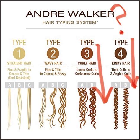 4a 4b 4c Hair Chart