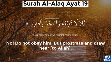Surah Alaq Ayat 16 9616 Quran With Tafsir My Islam