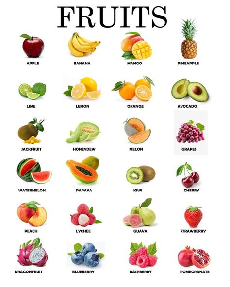 Instant Download Printable Fruits Educational Poster Etsy Vegetable