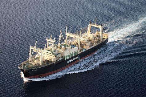 Sea Shepherd Locates Japanese Whaling Factory Ship Pete Thomas Outdoors