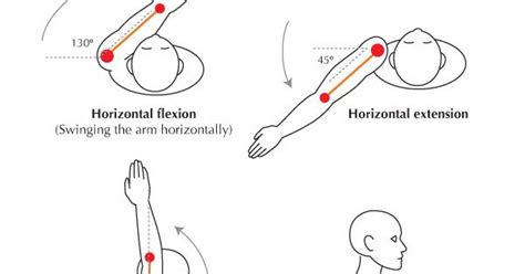 The supraspinatus, the infraspinatus, the teres minor and the. Shoulder Range Of Motion Chart The shoulder | Flexion ...