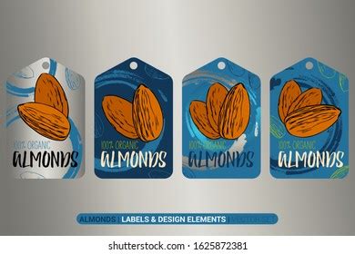 Brazil Nuts Colorful Label Set Raw Stock Vector Royalty Free