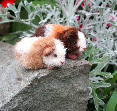 Special Price Pet Mini Guinea Pig Baby Ooak Alpaca By Stevit