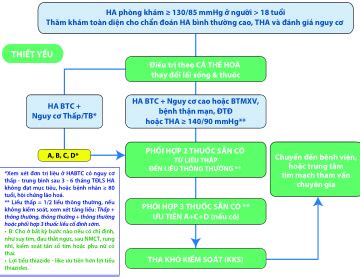 Khuyến cáo 2022 CẬP NHẬT CHẨN ĐOÁN VÀ ĐIỀU TRỊ TĂNG HUYẾT ÁP