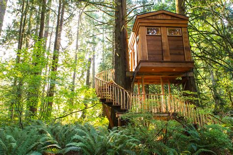 Britney Spears Would Love These High Design Treehouses Architectural Digest