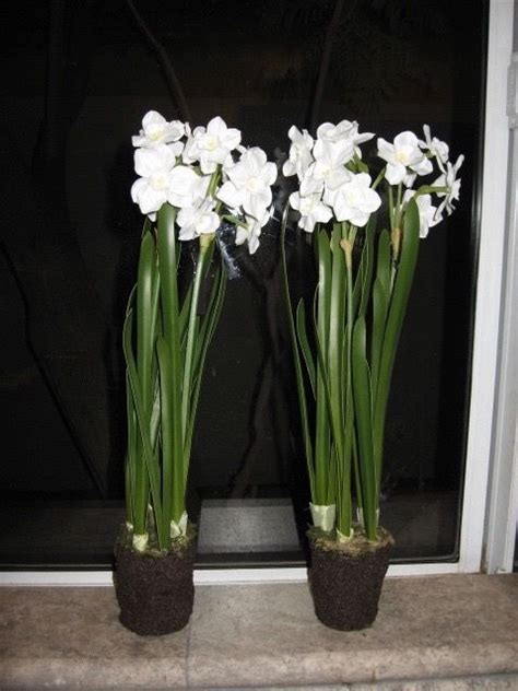 They are located at 251 west washington street in phoenix. Paperwhites in 2020 | Artificial silk flowers, Daffodils ...