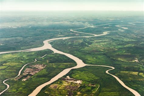 15 interesting facts about the amazon river laptrinhx news