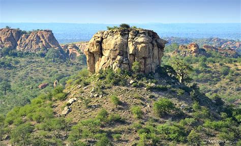 Mapungubwe Landscape South Africa Southern Africa African Wildlife