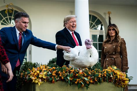 the annual turkey pardon is one of the few norms president trump has kept alive the washington