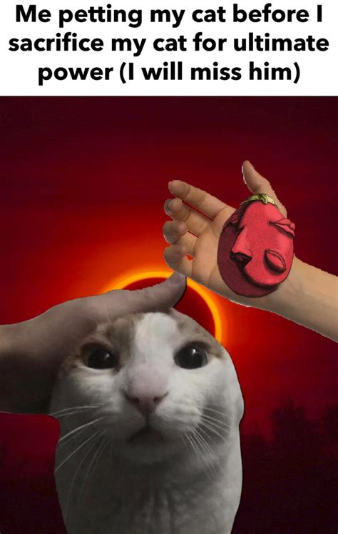 Me Petting My Cat Before I Sacrifice Him For Ultimate Power I Will