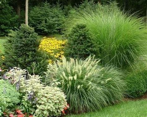 Amazing Evergreen Grasses Landscaping Ideas17 Ornamental Grass
