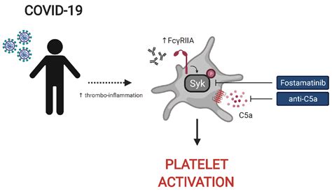Frontiers Signaling Through Fc Riia And The C A C Ar Pathway Mediate Platelet Hyperactivation
